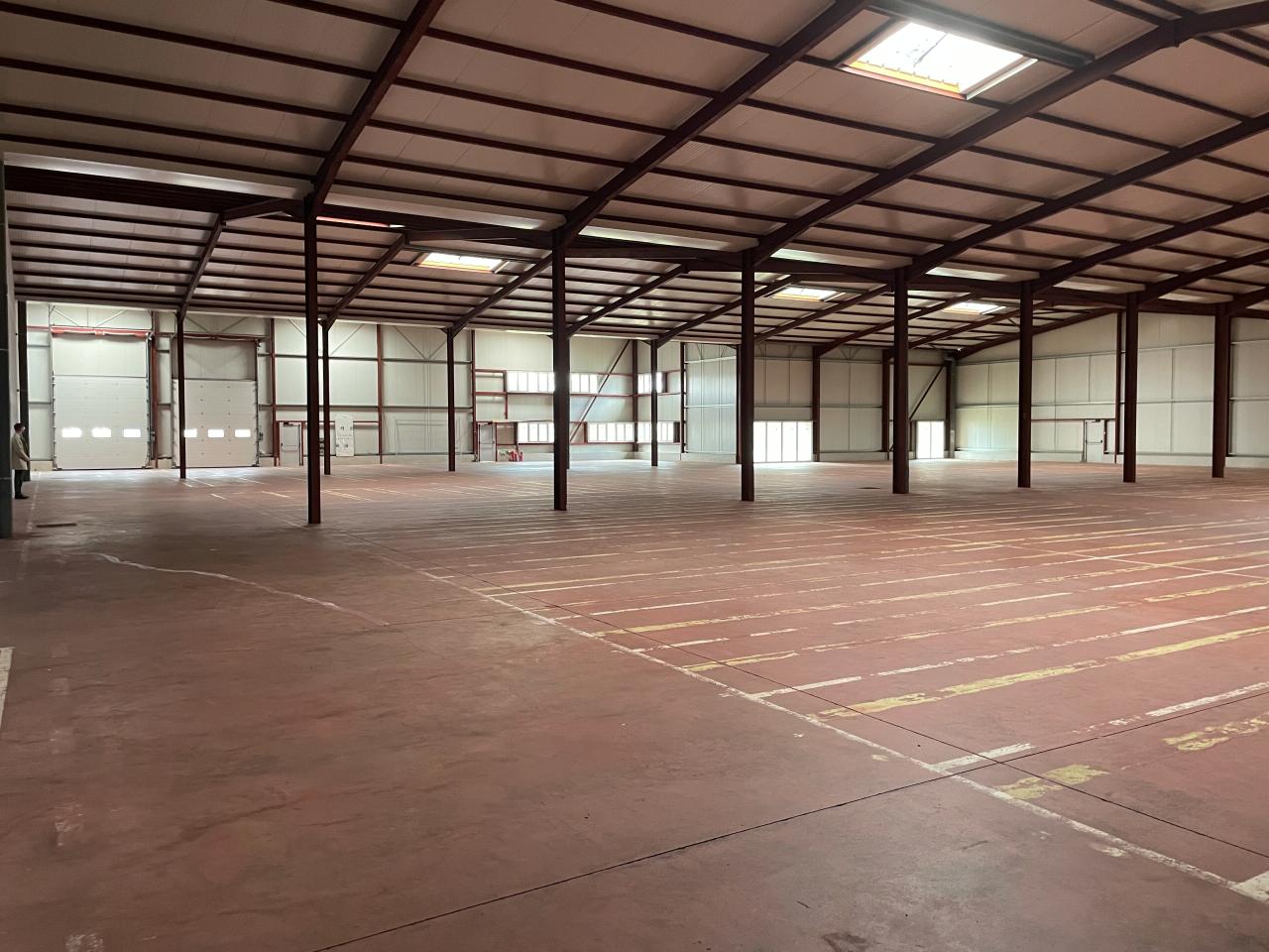 Local d'activité Carbon-Blanc 2100m² Location local d'activité Carbon-Blanc Gironde OLACT2530372 5